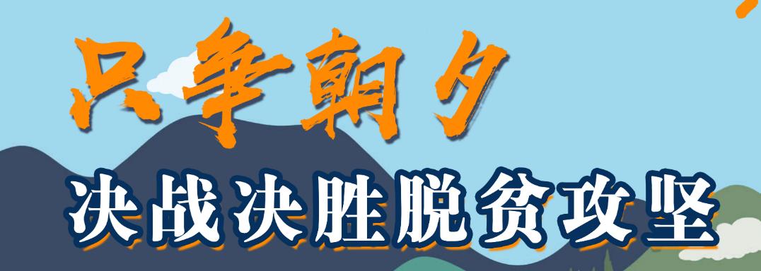 【决胜全面小康 决战脱贫攻坚】土城子村变洋气了